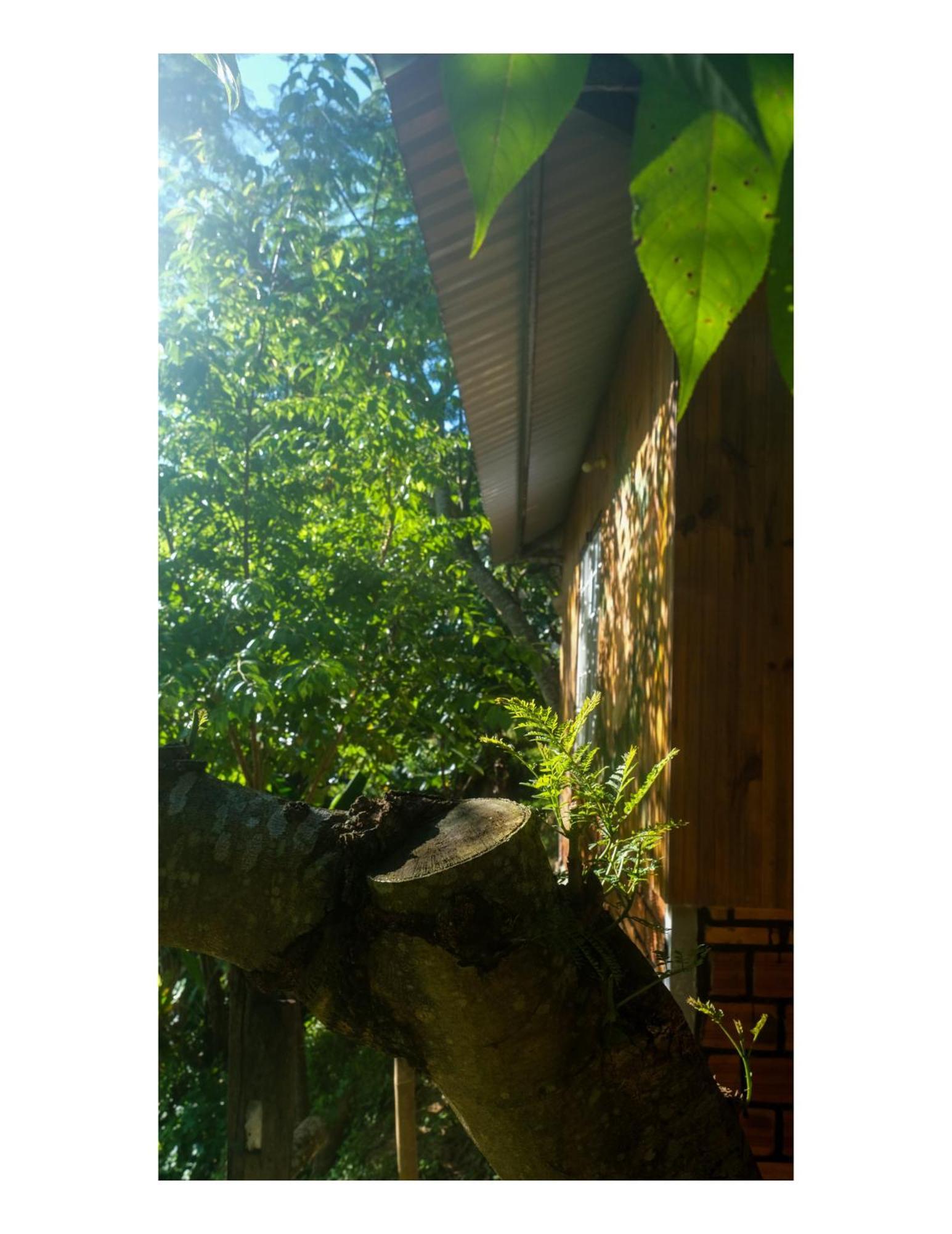 Nha Ben Ho - Da Lat Homestay Екстериор снимка