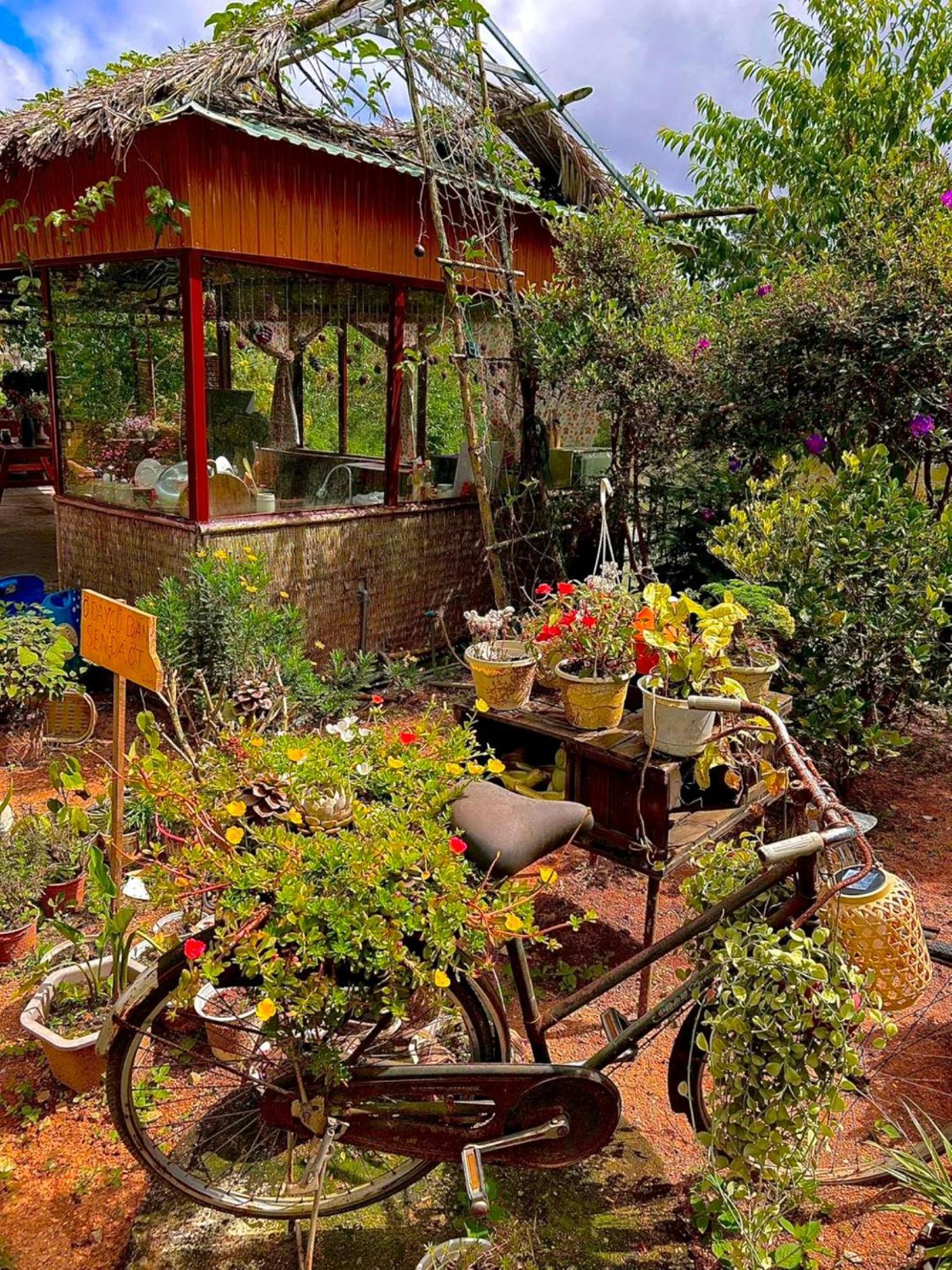 Nha Ben Ho - Da Lat Homestay Екстериор снимка