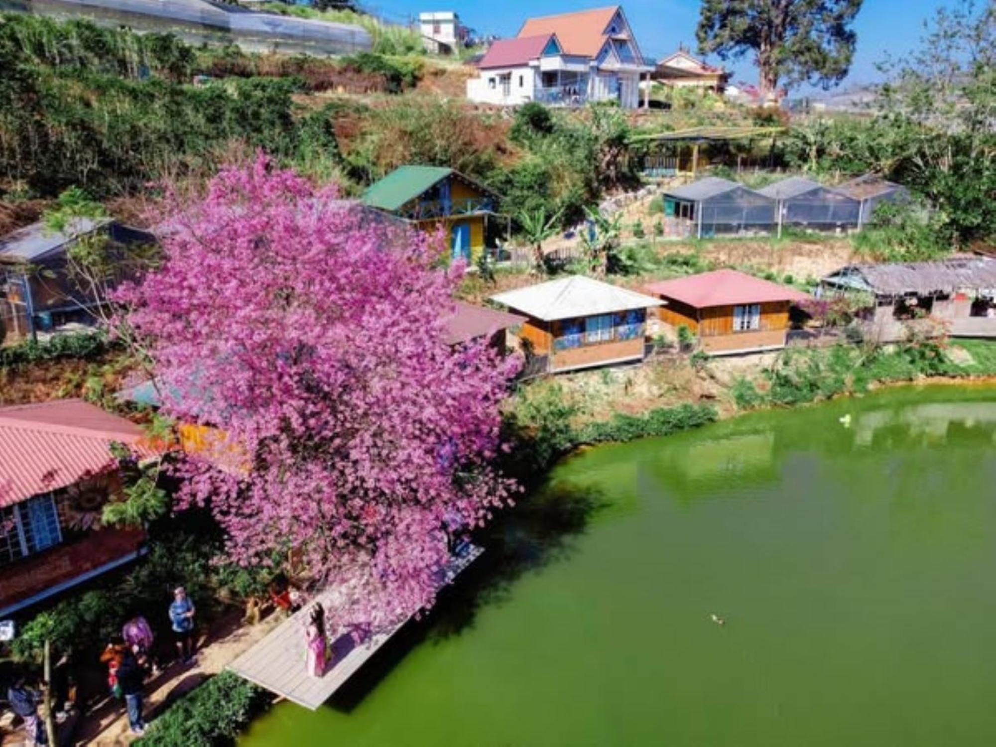 Nha Ben Ho - Da Lat Homestay Екстериор снимка