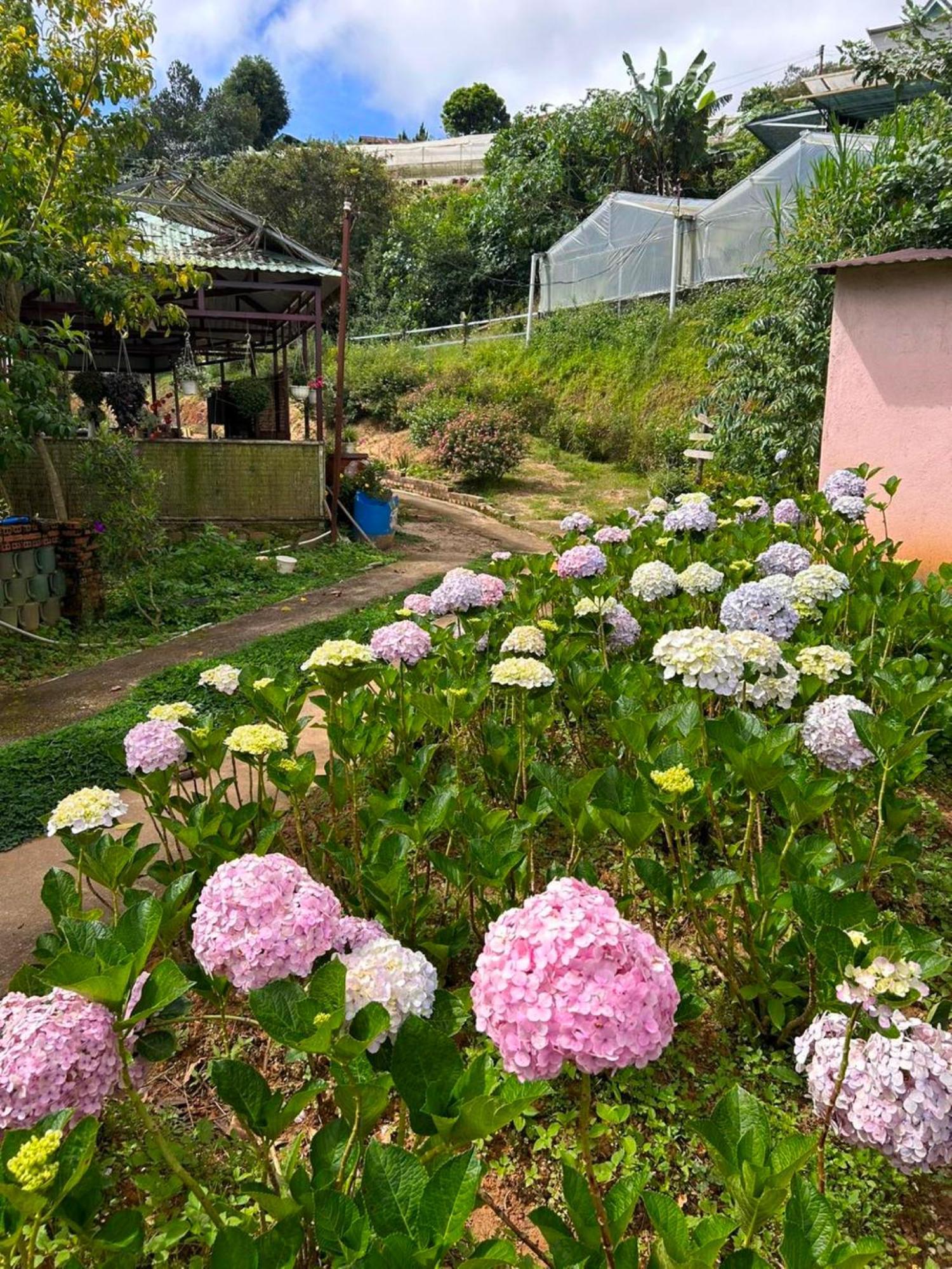 Nha Ben Ho - Da Lat Homestay Екстериор снимка