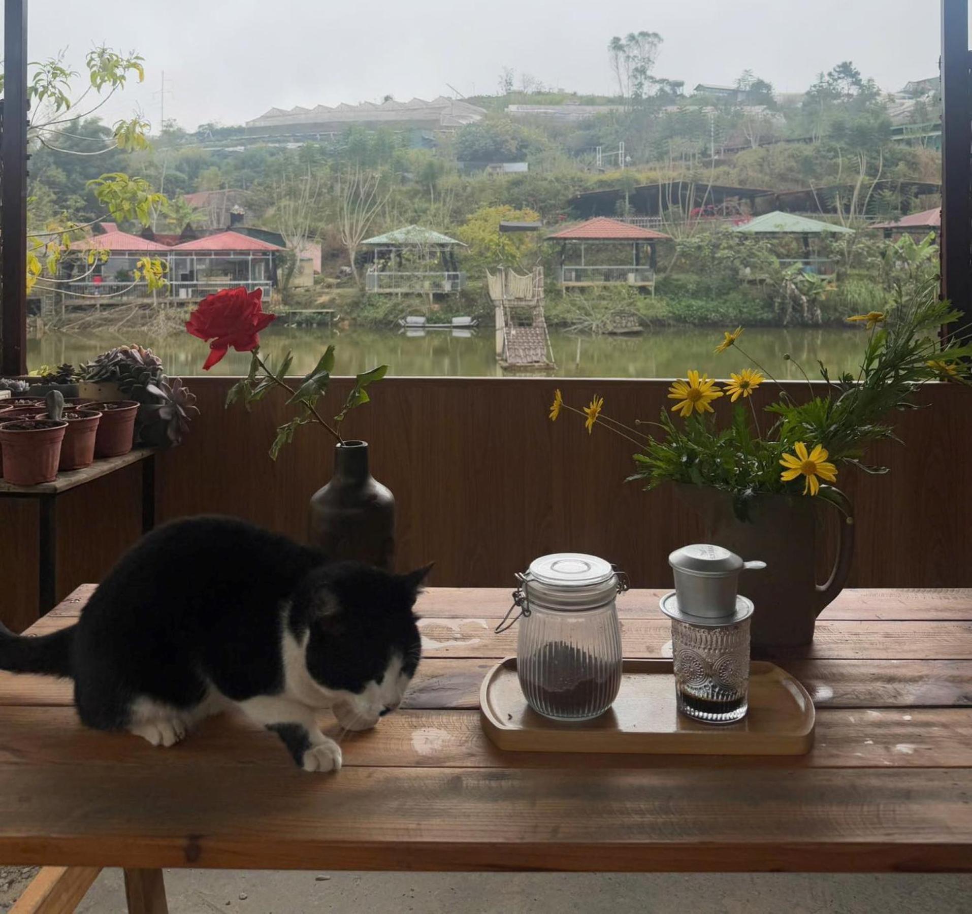 Nha Ben Ho - Da Lat Homestay Екстериор снимка