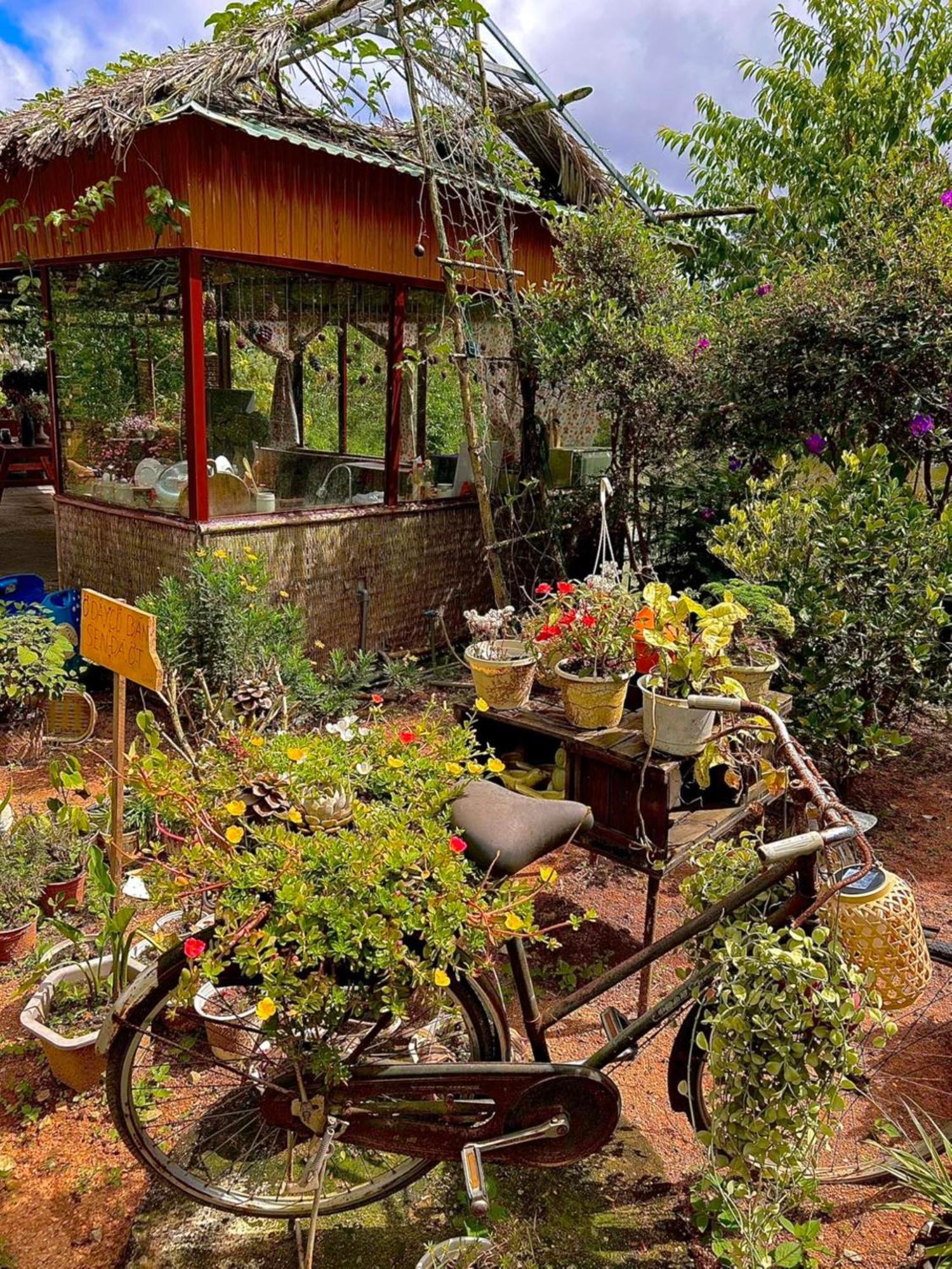Nha Ben Ho - Da Lat Homestay Екстериор снимка